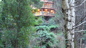 A multi-story building with a rustic exterior, surrounded by dense forest and greenery. - Risehill House
House among tree tops, tranquil and cosy feel. Magnificent views. (Kalorama)