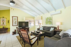 Smart TV, DVD player, books, music library