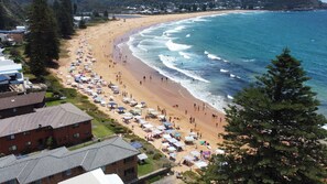 A beach with numerous umbrellas and people, surrounded by residential buildings and trees. - Absolute Beachfront - South Strand 7 - Linen & Wifi (AVOCA BEACH)