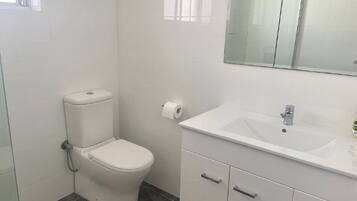 Shower, hair dryer, towels