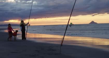 Ohiwa Holiday Spot - Ruatuna Road- Ohiwa harbour