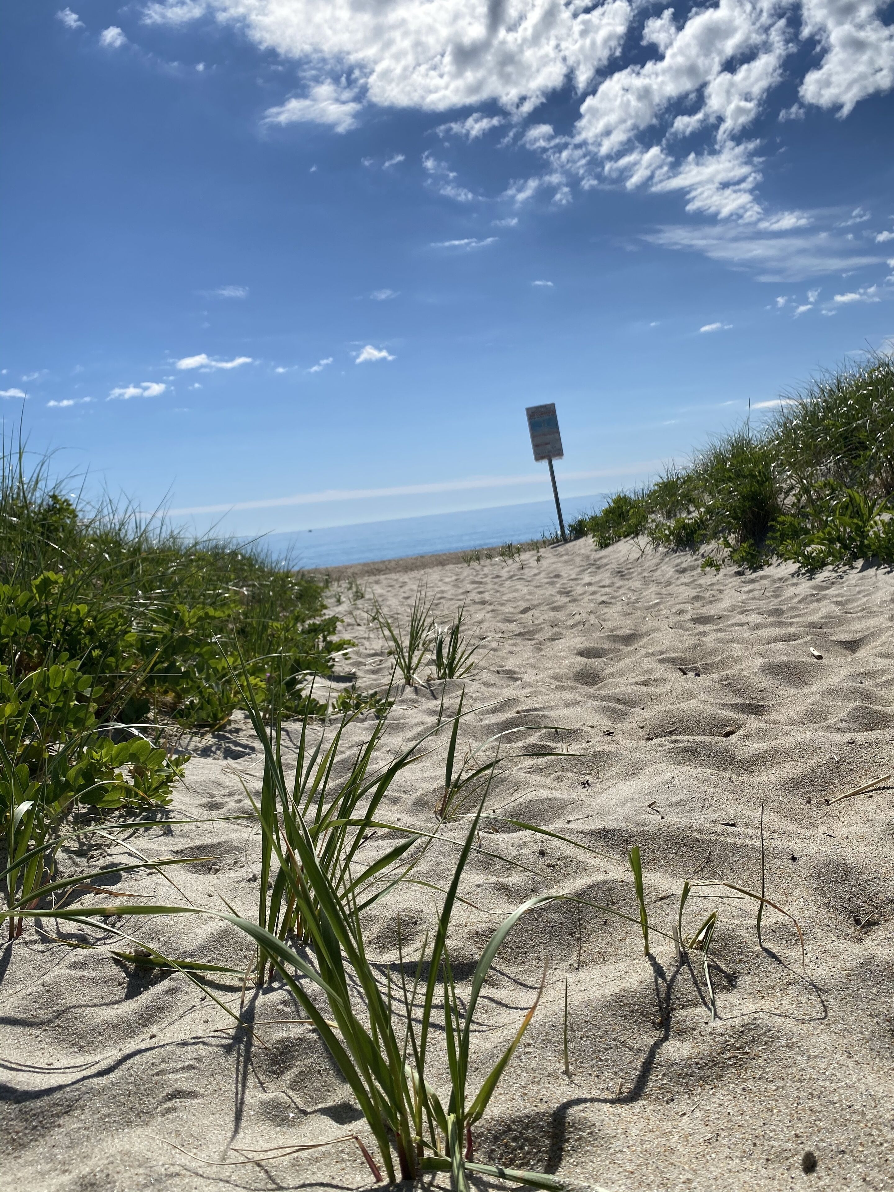 A sandy beach path with green vegetation and a sign in the distance.