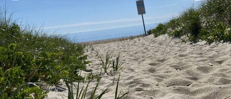 A sandy beach path with green vegetation and a sign in the distance.