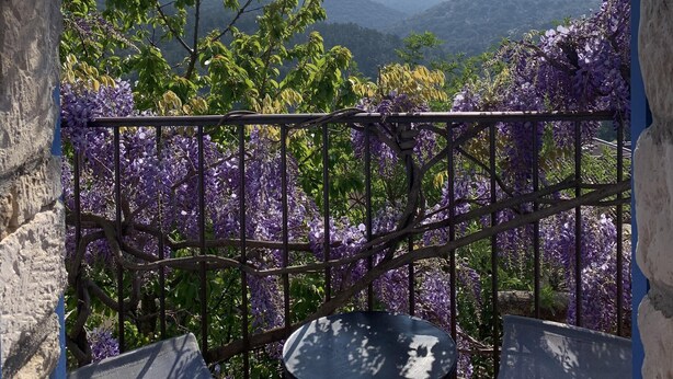 Ein Balkon mit Blick auf Berge, umgeben von violetten Blumen und Grünpflanzen.