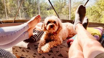 Iemand ontspant in een hangmat, met een hond ernaast, met uitzicht op een bebost gebied.