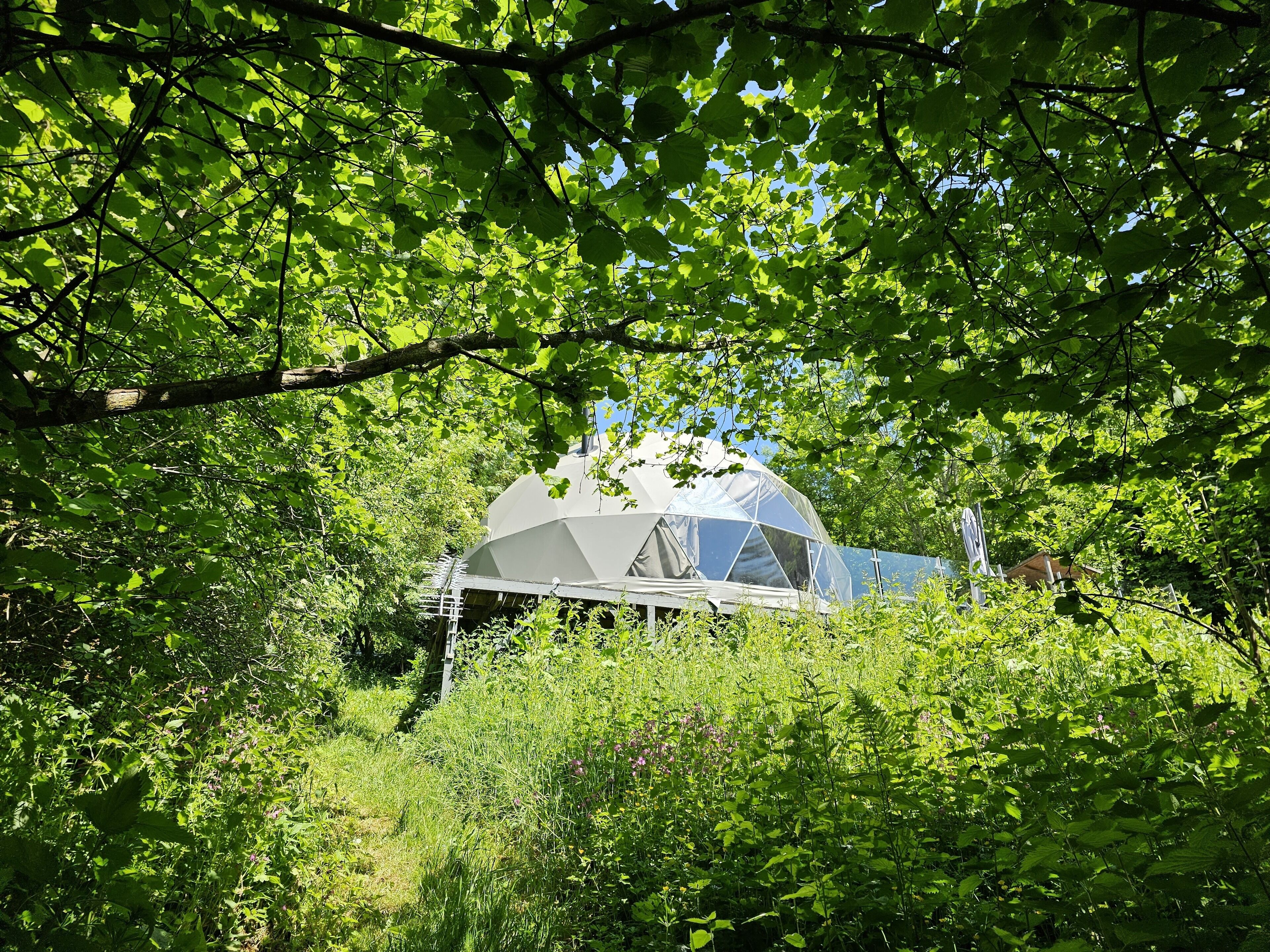 A geodesic dome structure surrounded by dense green foliage.