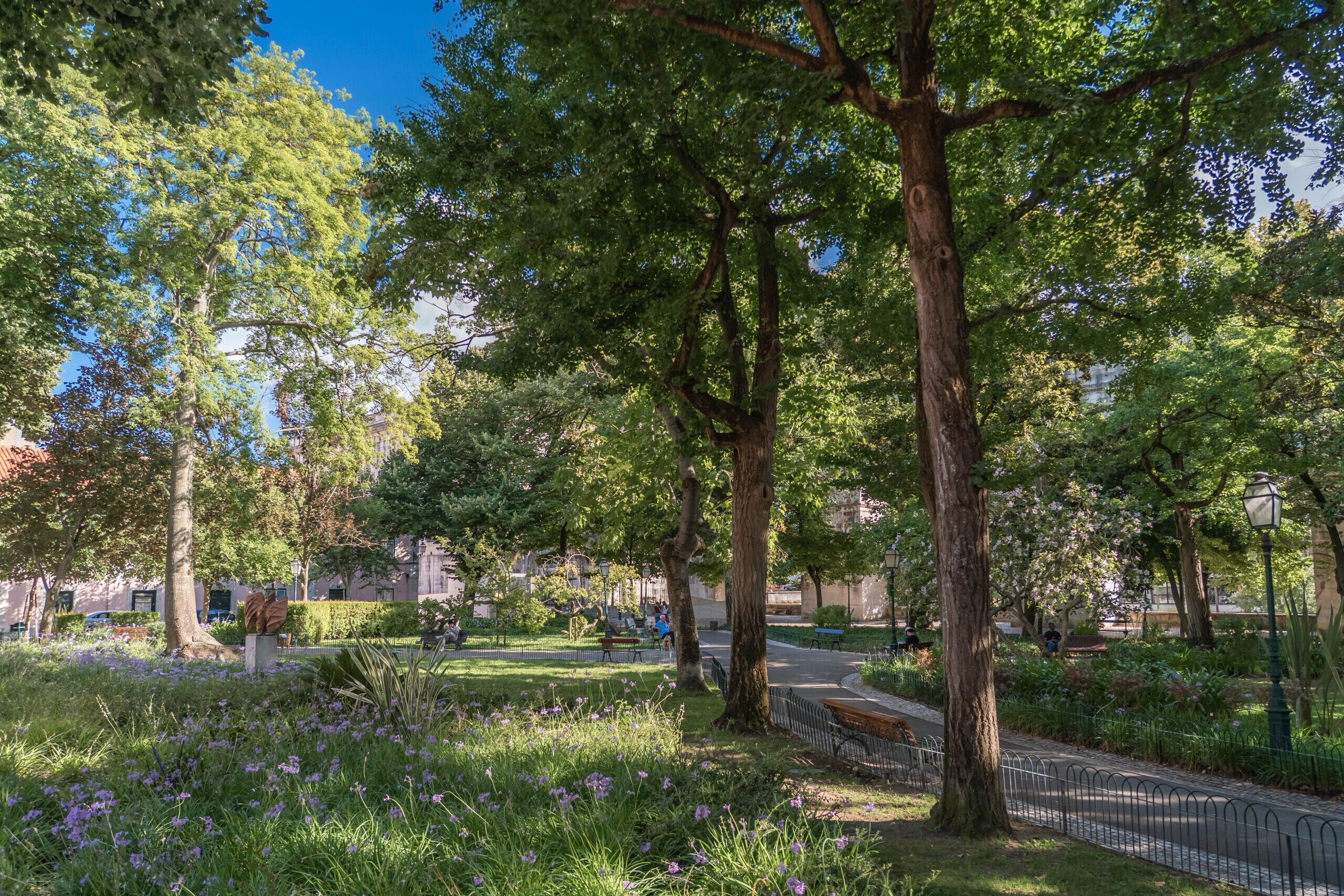 Un parc avec des arbres, des bancs et un sentier.