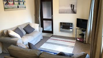 TV, fireplace, DVD player, books