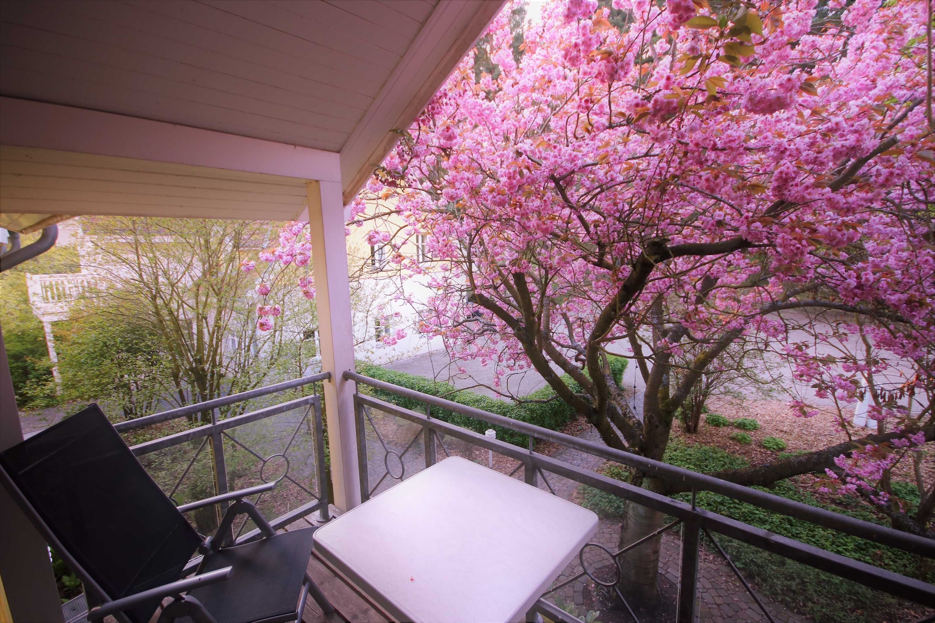 Un balcón con mesa y sillas, con vistas a un jardín de árboles de flores rosadas.