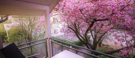 Un balcón con mesa y sillas, con vistas a un jardín de árboles de flores rosadas.