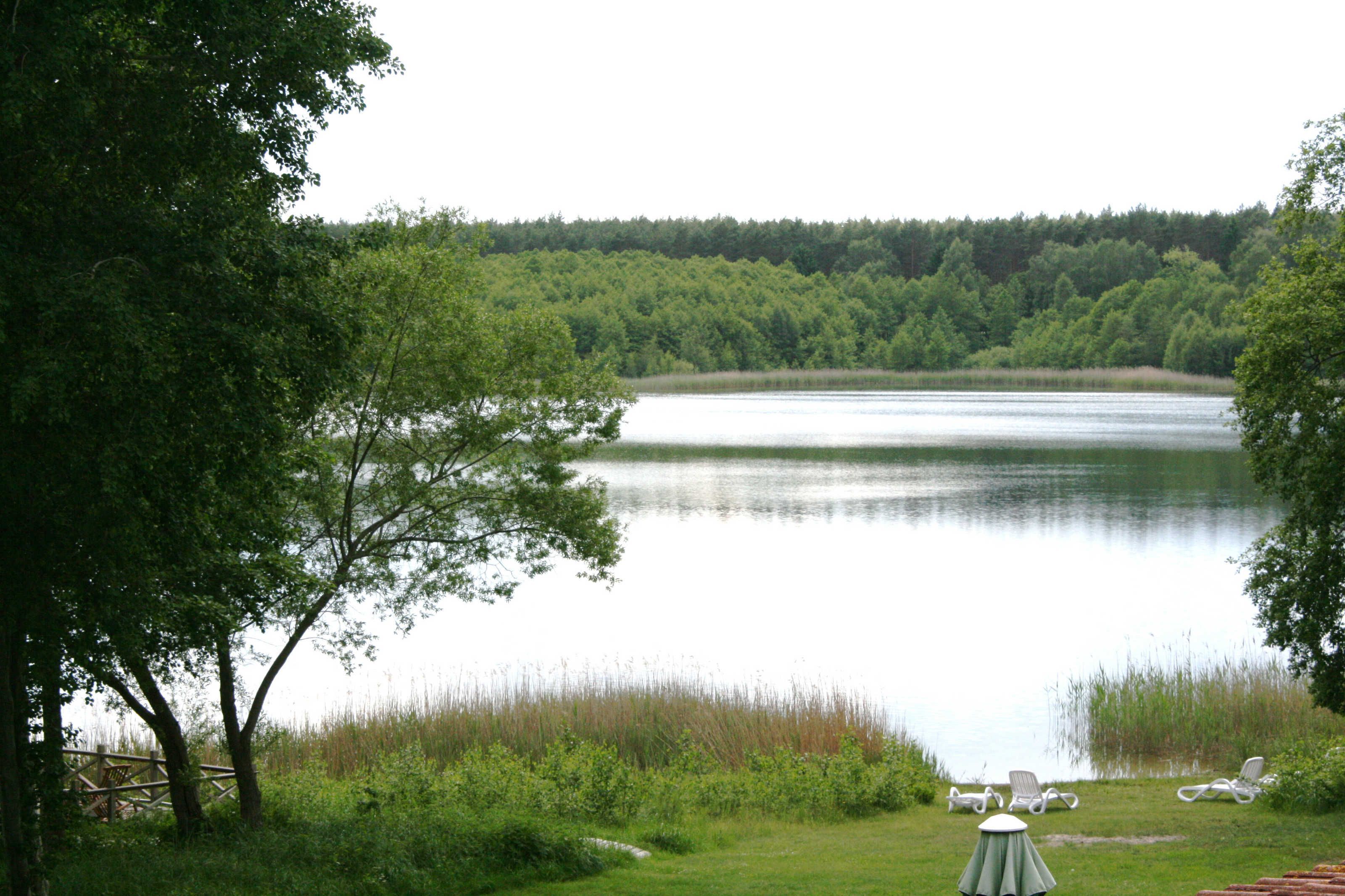 A serene lakeside view with a wooden deck, lounge chairs, and a small table.