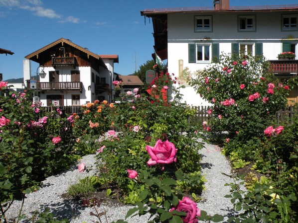 A garden with pink roses and a building with a balcony.