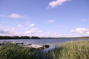 Immagine non classificata, 2 di 24, pulsante