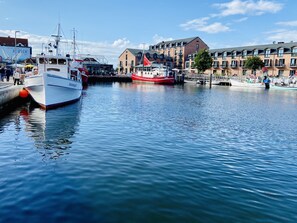 Marina - Baltic Sea view | large terrace | sauna scents | firewood | WLAN | beach chair  (Großenbrode)