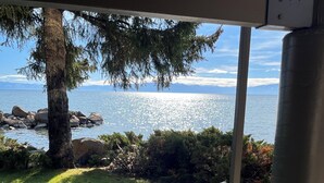 Un patio con tavolo e sedie che si affaccia su uno specchio d'acqua, un albero e una zona verde.
