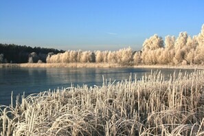 Unclassified image, 4 of 22, button