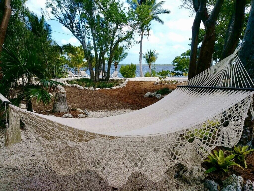 10 Best Beach House Rentals In Key Largo, Florida Updated 2024 Trip101