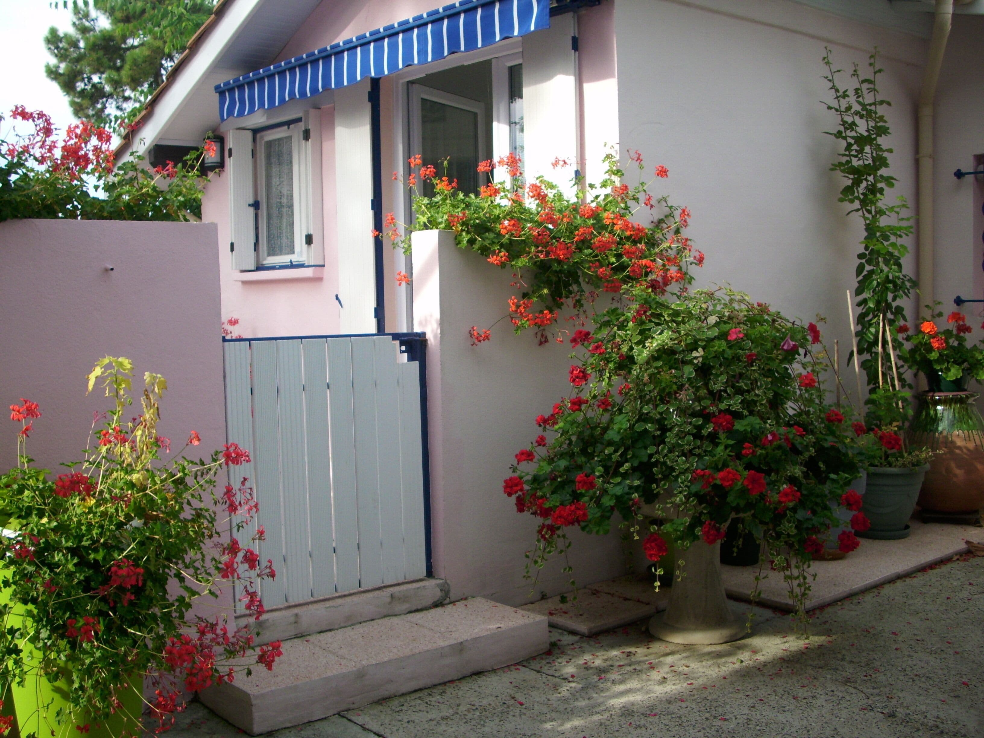 charming house with yard - 3 people