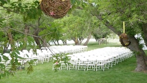 Decoración de boda con sillas blancas dispuestas en filas, un nido de pájaro colgante y un árbol con un objeto colgado.