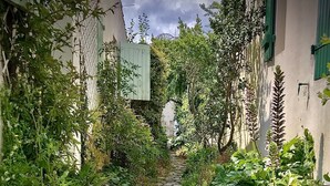 Een stenen trap, omgeven door weelderige begroeiing, die leidt naar een gebouw met groene luiken.