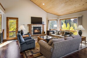 تلفزيون، مدفأة، مشغل دي في دي، ستيريو