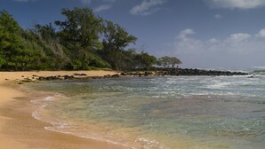 Ein Strand mit klarem Wasser, sandigem Ufer und Bäumen im Hintergrund.