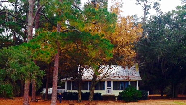 A wooden dock leading to a house surrounded by trees. - Bayfront Cottage. Private pier! Sunsets! Sunrises! 4 acres! New bike trail. (Gulf shores)
