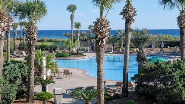 Un espace piscine agrémenté de palmiers, de chaises longues et offrant une vue sur l’océan.