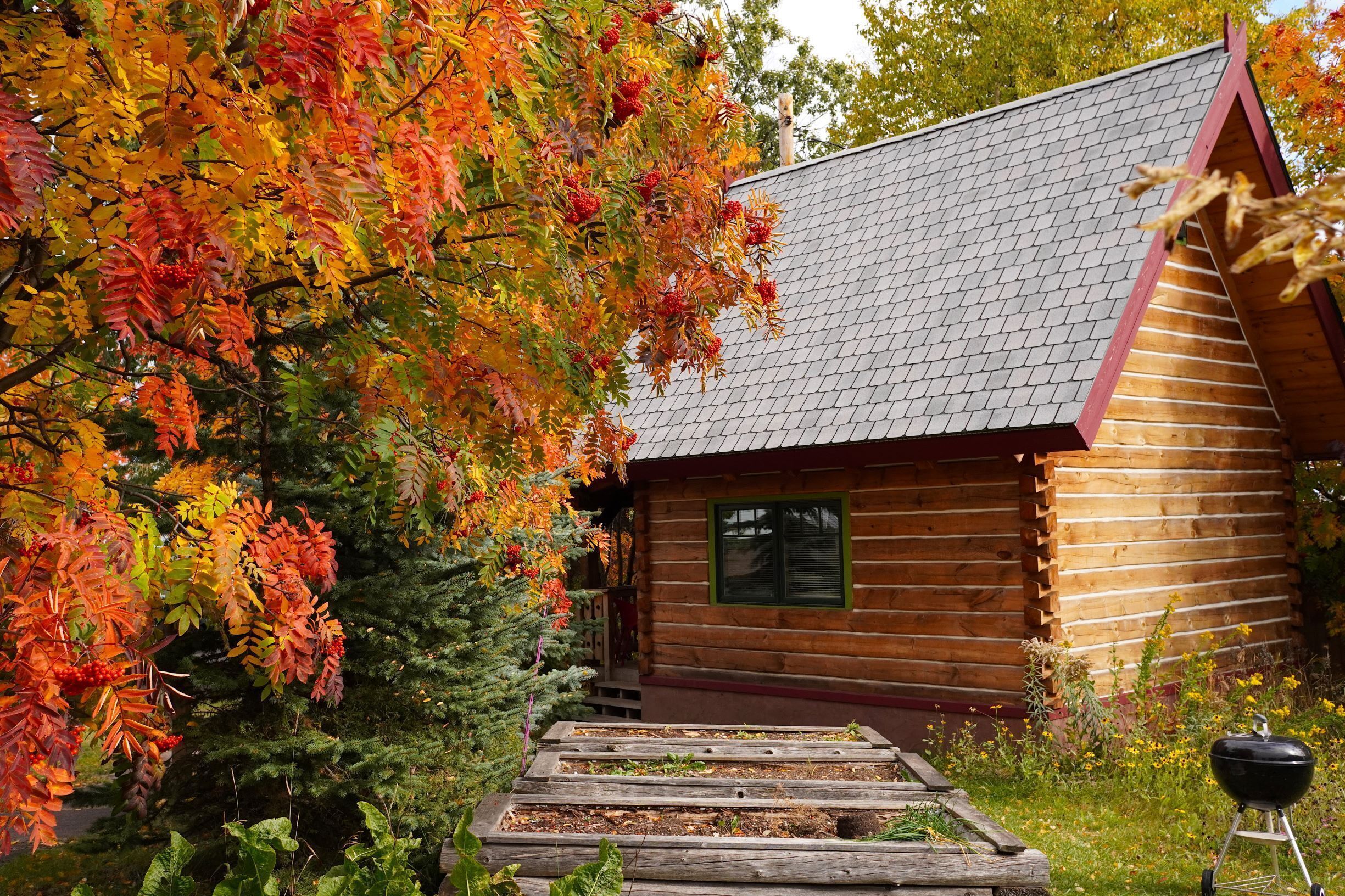 Mokki Dovetail Log Cabin, Downtown, Grand Marais, MN Vacation Rental