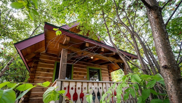 Una cabaña de madera con un porche, rodeada de árboles.