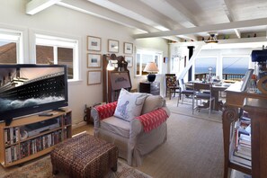 Smart TV, fireplace, books, music library