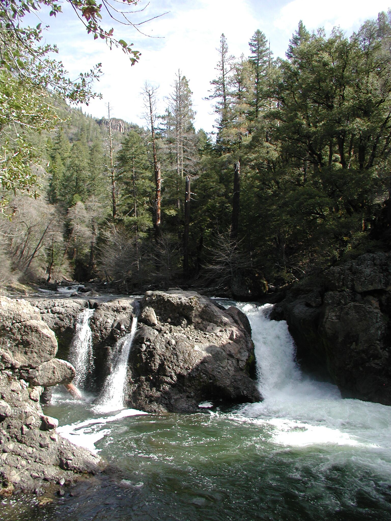 A waterfall in a forested area with rocky terrain and dense trees.