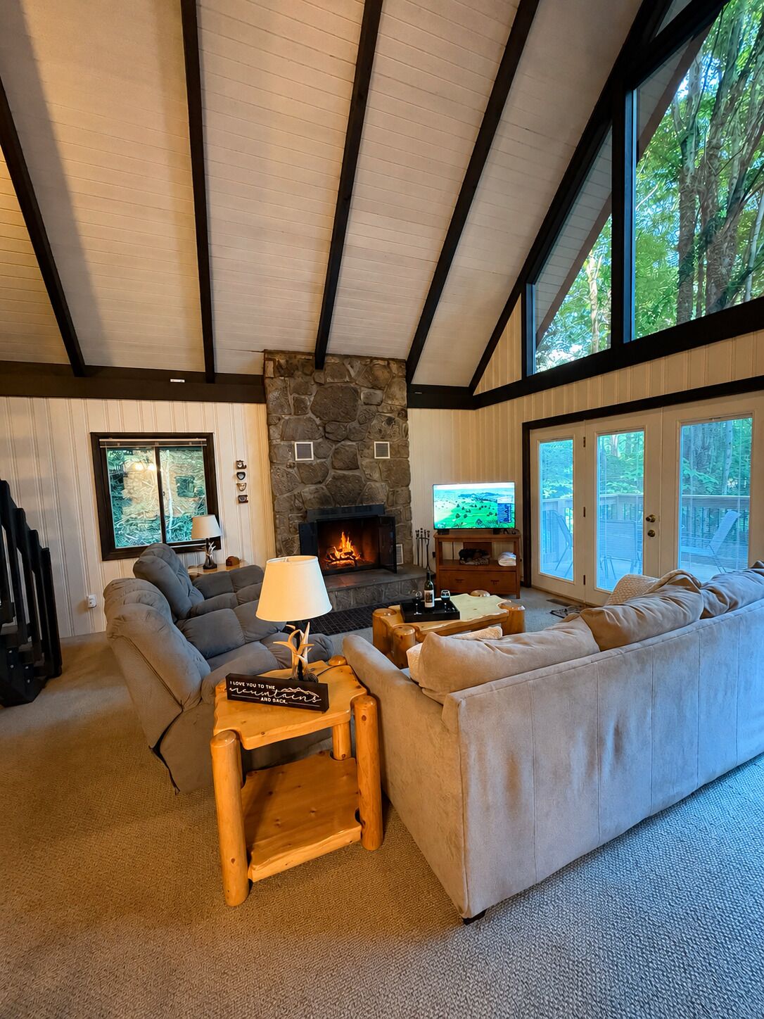 Fernseher, Kamin, Bücher