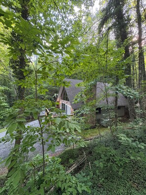A rustic cabin surrounded by dense forest.