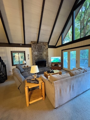 TV, fireplace, books