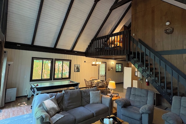 TV, fireplace, books