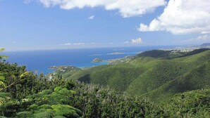 Eine Küstenlandschaft mit üppigen, grünen Hügeln und freiem Blick auf das Meer.