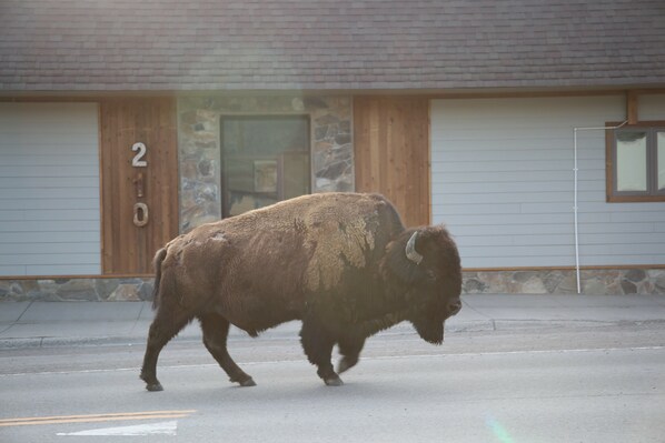 Exterior detail - Parks Riverside A in Gardiner, MT North Entrance to Yellowstone (Gardiner)