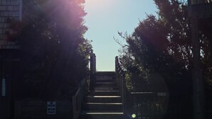 Una escalera que lleva a la entrada de un edificio, con un cartel que indica 'No estacionar en ningún momento' y otro que dice 'No transitar por las dunas'.