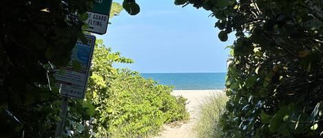 Plage, chaises longues, serviettes de plage