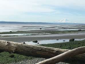 On the beach, sun loungers, beach towels