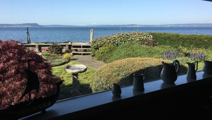 Une vue depuis une fenêtre donnant sur un jardin, où l’on aperçoit un abreuvoir à oiseaux, une clôture en bois et une variété de plantes.