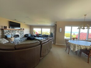 Una Smart TV, una chimenea, un reproductor de DVD, libros