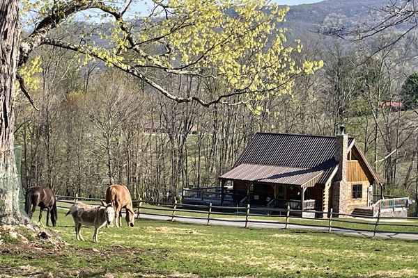 Morning Glory cabin across from Horse farm!