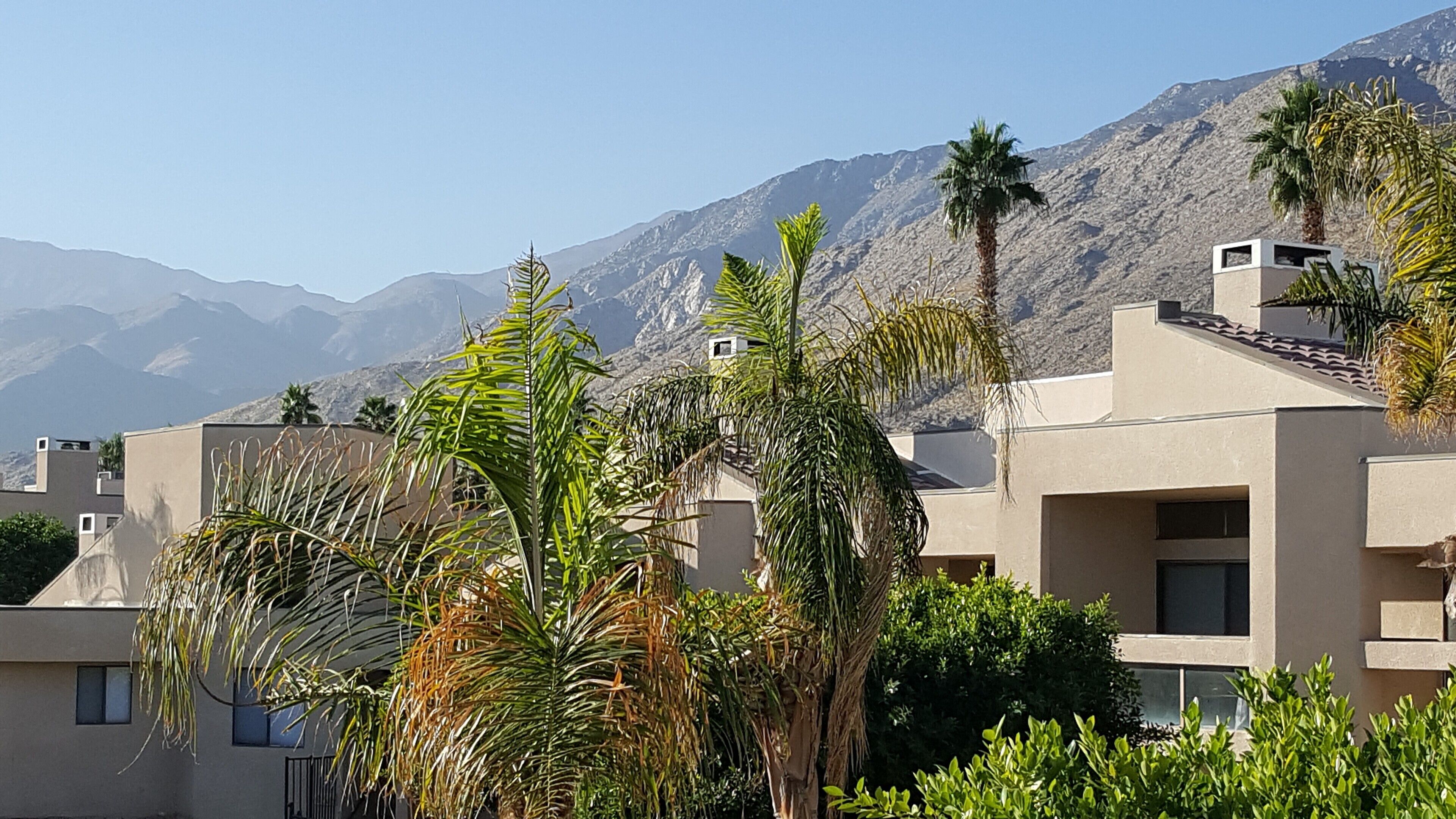Snowbird Paradise near Downtown Palm Springs