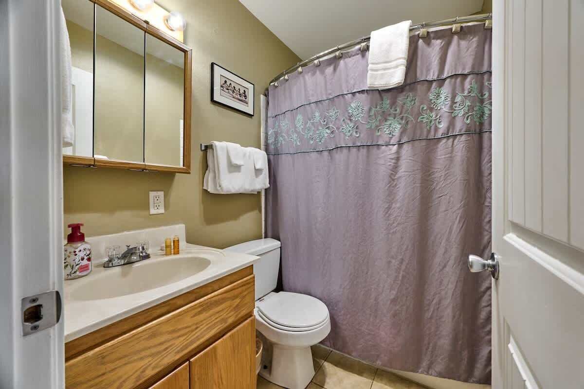 A bathroom with a wooden vanity, a white toilet, a shower curtain, and a mirror above the vanity.