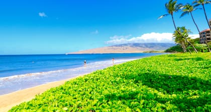 Oceanfront Condo at Sugar Beach Resort- Stunning Sunsets and Beach Front