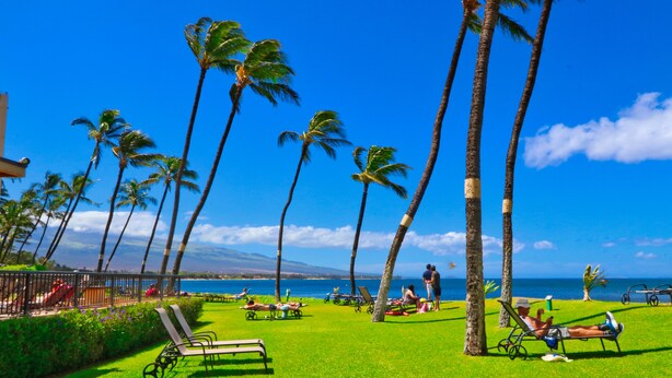A tropical resort with palm trees, a pool area, and a view of the ocean. - Oceanfront Condo at Sugar Beach Resort- Stunning Sunsets and Beach Front (Kihei)