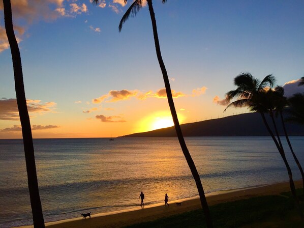 On the beach, sun loungers, beach towels - Oceanfront Condo at Sugar Beach Resort- Stunning Sunsets and Beach Front (Kihei)