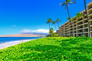 On the beach, sun loungers, beach towels - Oceanfront Condo at Sugar Beach Resort- Stunning Sunsets and Beach Front (Kihei)